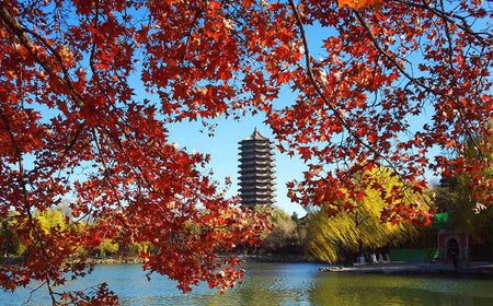 Peking University (Weiming Lake)