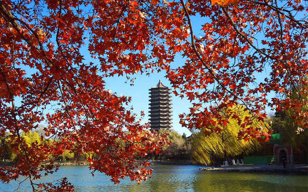 Peking University (Weiming Lake)