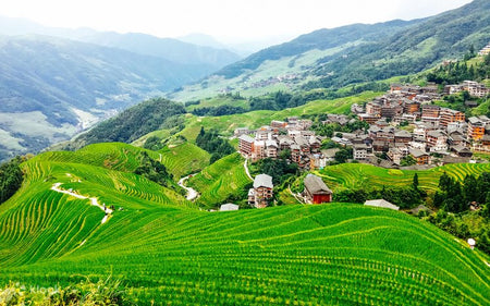 Ping'an Rice Terraces