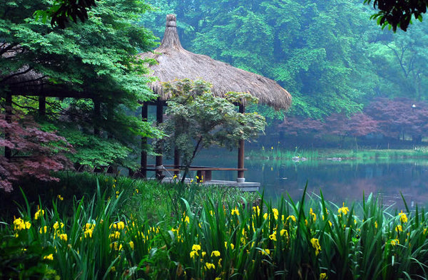 Prince Bay Park Spring Promenade (Taiziwan)