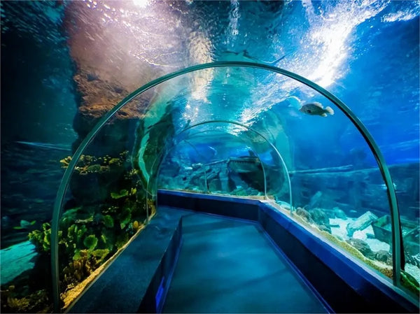 Qingdao Underwater World High Tech Marine Tunnel
