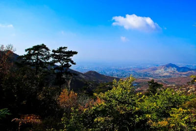 Qionglong Mountain Scenic Forest (Dragon Ridge)