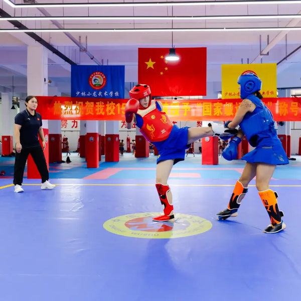 Sanda (Chinese Boxing) Class