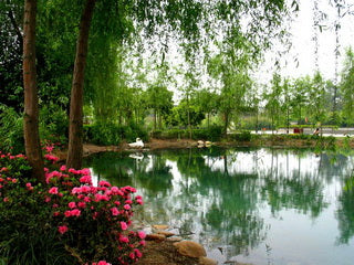 Sansheng Flower Village