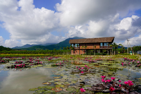 Sanya Paddy Field National Geopark