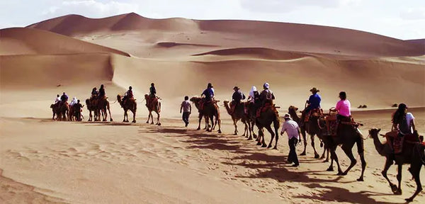 Sayram Lake Silk Road Camel Caravan Landmark Path