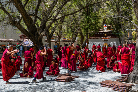 Sera Monastery Live Buddhist Debate Yards