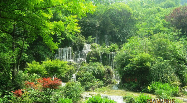 Seven Star Park (Qixing Park)