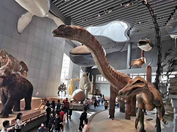 Shanghai Natural History Museum