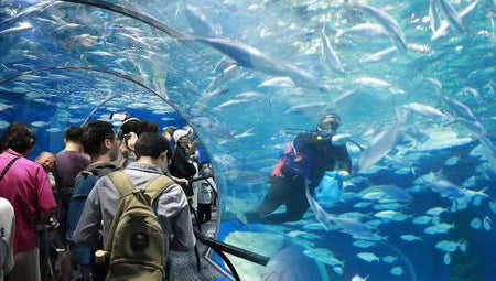 Shanghai Ocean Aquarium
