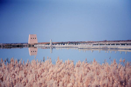 Shengjin Lake Salt Crust Wetland Trail