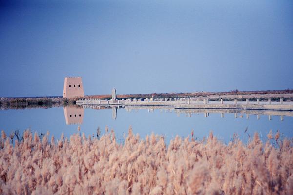 Shengjin Lake Salt Crust Wetland Trail