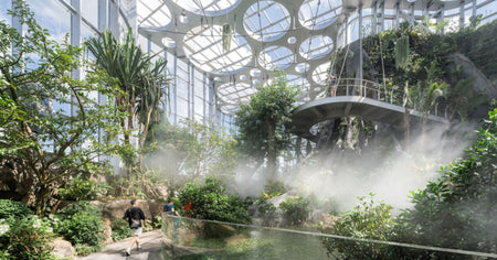 Shenyang Expo Botanical Garden Glass Greenhouse