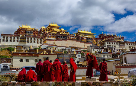 Songzanlin Monastery Monastic Library and Philosophy Tour