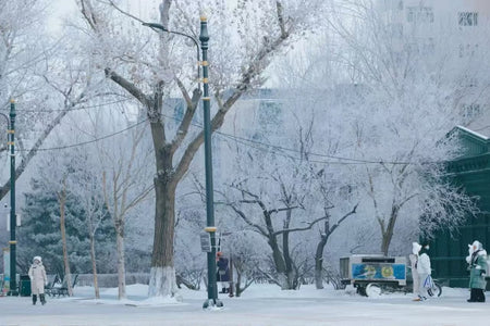 Stalin Park