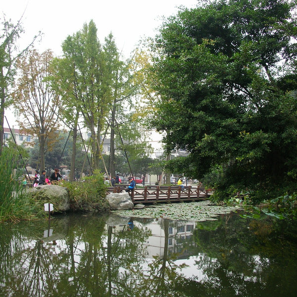 Tang Lake Park (Tanghu)