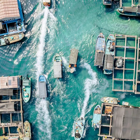 Tenggai Fish Market (Houhai Docks)