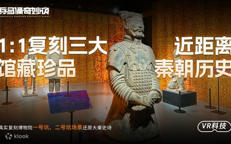 Terracotta Warriors Night