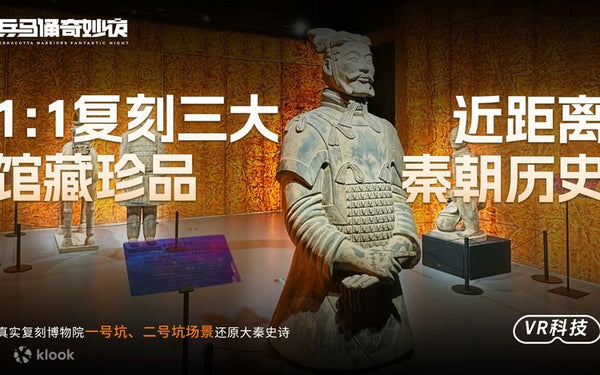 Terracotta Warriors Night