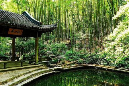 The Bamboo Paths at Yunqi (Yunqi Zhujing)