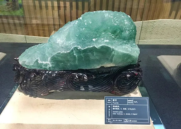 The Geological Museum of China