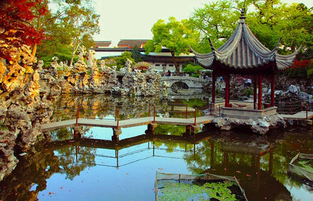 The Lion Grove Garden