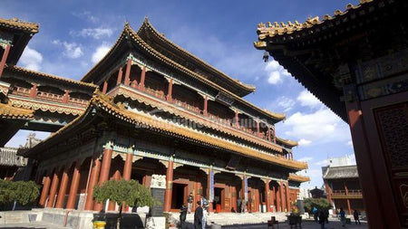 The Temple House (Architectural Tour)