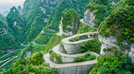 Tianmen Mountain Academy Forest Lounge