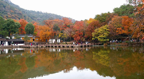 Tianping Mountain Maple Forest (The Red Peak)