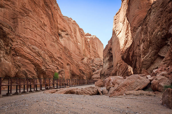 Tianshan Grand Canyon Pine Valley Glacial River Path