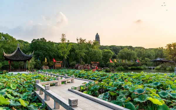Tiger Hill Scenic Area