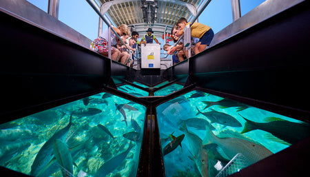 Yalong Bay Underwater Glass Boat Tour