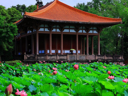 Wangcong Temple