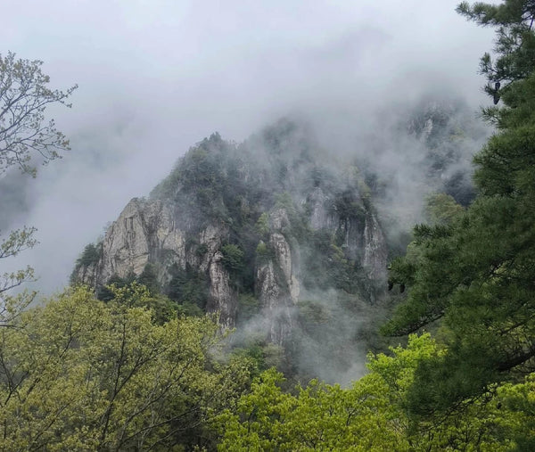 Wangshun Mountain National Forest Park