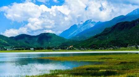 Wenhai Alpine Wetland Reserve Track