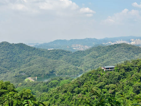 White Cloud Mountain Eco-Sanctuary and Cloud-Bridge Trail