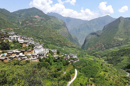 Wugan Alpine Peony Valley Trail