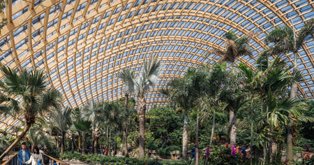 Wuhan Botanical Garden High-Tech Floating Greenhouse Dome
