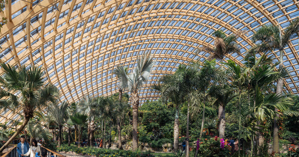 Wuhan Botanical Garden High-Tech Floating Greenhouse Dome