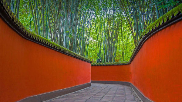 Wuhou Shrine - Red Wall Alley