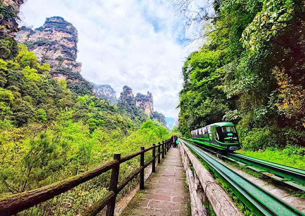 Wulingyuan Core Eco-Train Valley Track