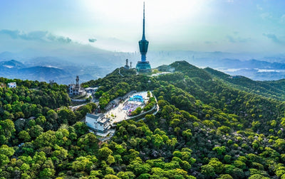 Wutong Mountain
