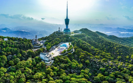 Wutong Mountain