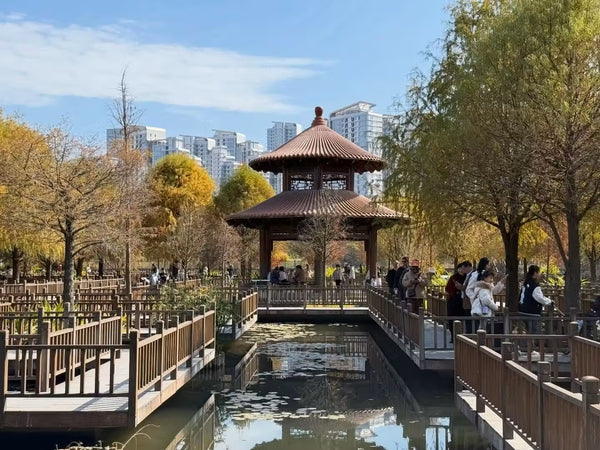 Wuyuan Bay Wetland Park & Wooden Boardwalk Marina Tour