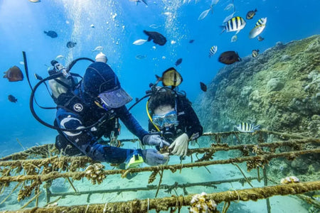 Wuzhizhou Deep Reef Scuba Diving
