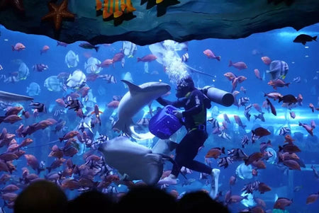 Xi'an Qujiang Ocean World