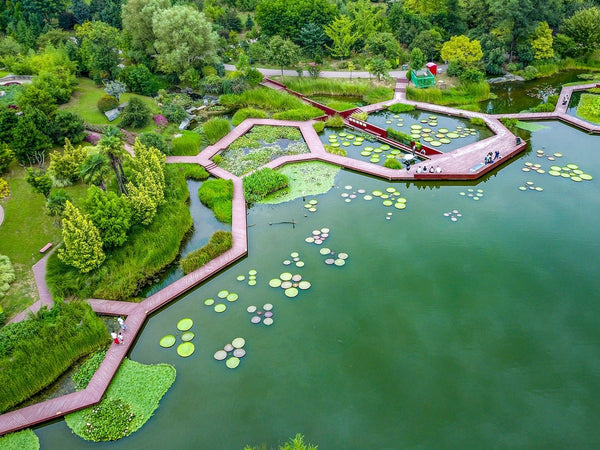 Xian Botanical Garden (New Park)