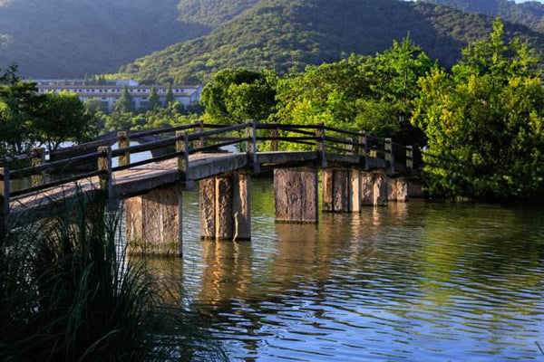 Xianghu Lake Scenic Resort (The Ancient Water)