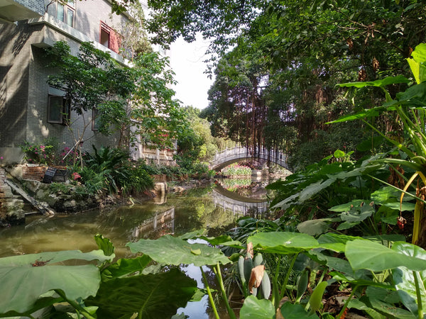 Xiaozhou Village