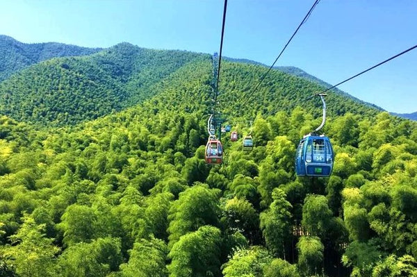 Xihui Elevated Forest Scenic Cableway (Mt. Huishan)